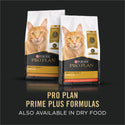 Purina Pro Plan Prime Plus 7+ Chicken & Beef Entree Classic Canned Cat Food