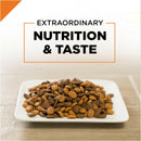 Purina Pro Plan Savor Salmon & Rice Formula Adult Dry Cat Food