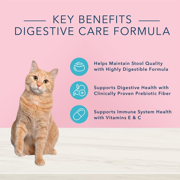 Blue Buffalo True Solutions Blissful Belly Digestive Care Formula Adult Wet Cat Food