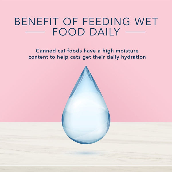 Blue Buffalo True Solutions Blissful Belly Digestive Care Formula Adult Wet Cat Food