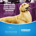 Nutramax Cosequin Maximum Strength Joint Health Supplement for Dogs - With Glucosamine, Chondroitin, and MSM, 250 Chewable Tablets