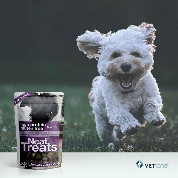 VetOne Neat Treats for Dogs (4oz)