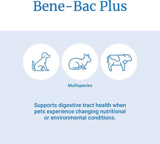 Bene-Bac Plus Pet Powder (16 oz)