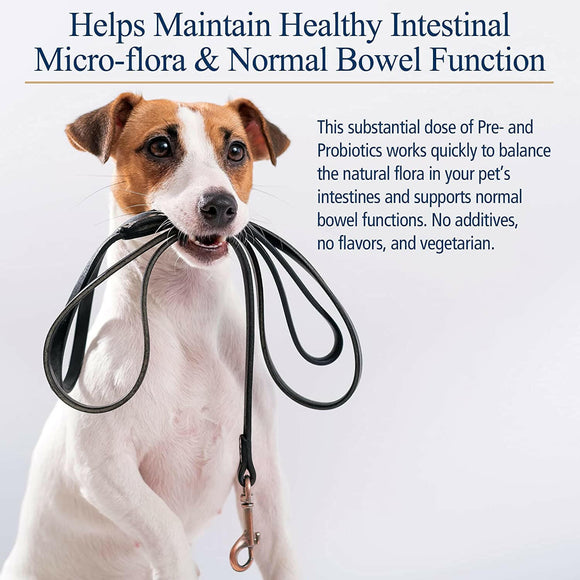 Rx Biotic Powder Digestive Supplement for Cats & Dogs