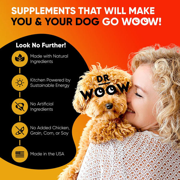 Dr. Woow Pre, Pro and Post Biotics Digestive Chews (90 ct)