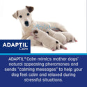 Adaptil Calm Collar for Medium & Large Dogs