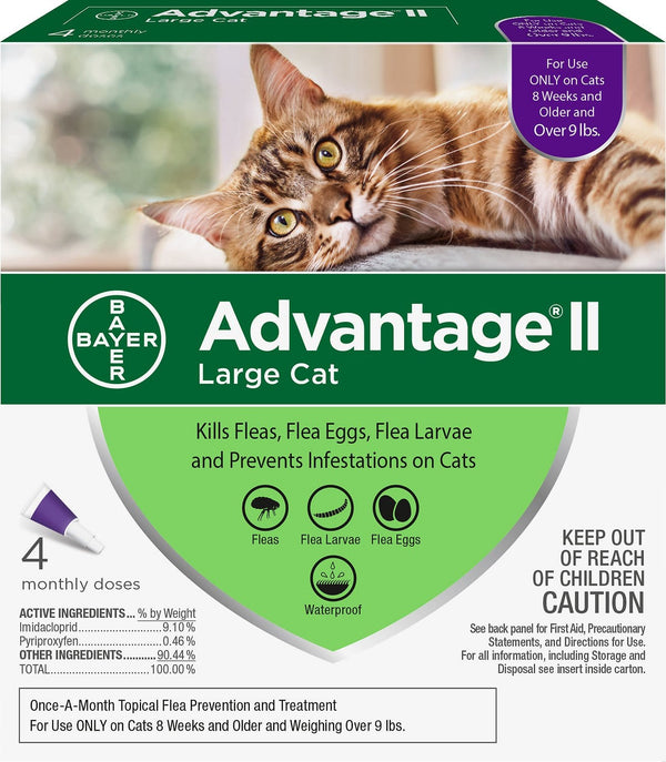 Advantage II Flea Control for Large Cats (Over 9 lbs) Purple Box