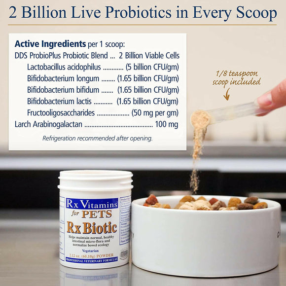 Rx Biotic Powder Digestive Supplement for Cats & Dogs