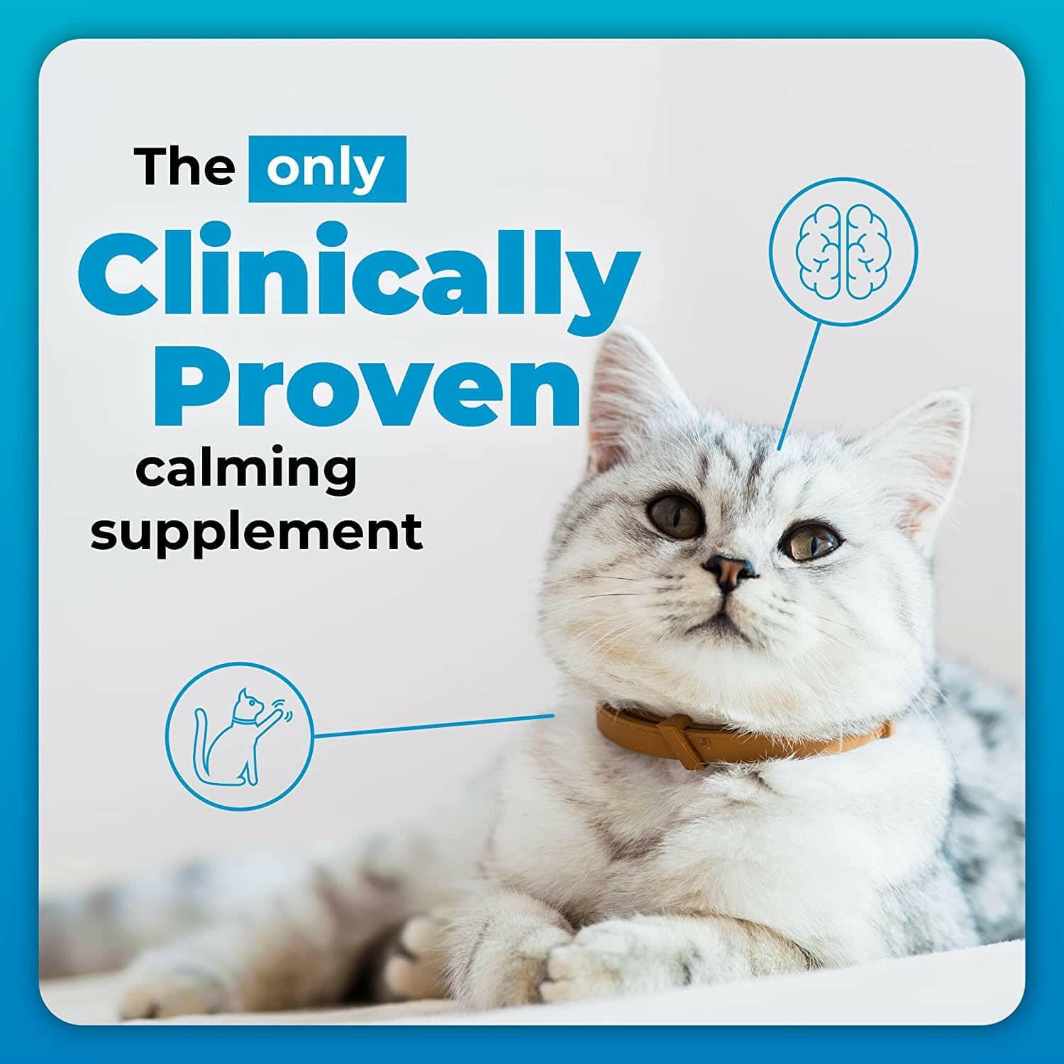 vetriscience composure feline is the only clinically proven calming supplement