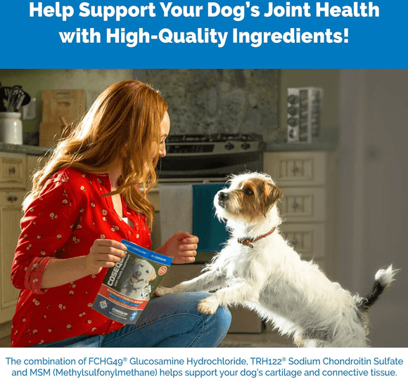 Nutramax Cosequin Minis Maximum Strength Joint Health Supplement - With Glucosamine, Chondroitin, MSM, and Omega-3's, 45 Soft Chews