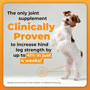 glycoflex plus for small dogs