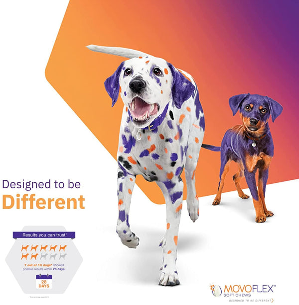 MovoFlex Joint Support for Large Dogs (60 soft chews)