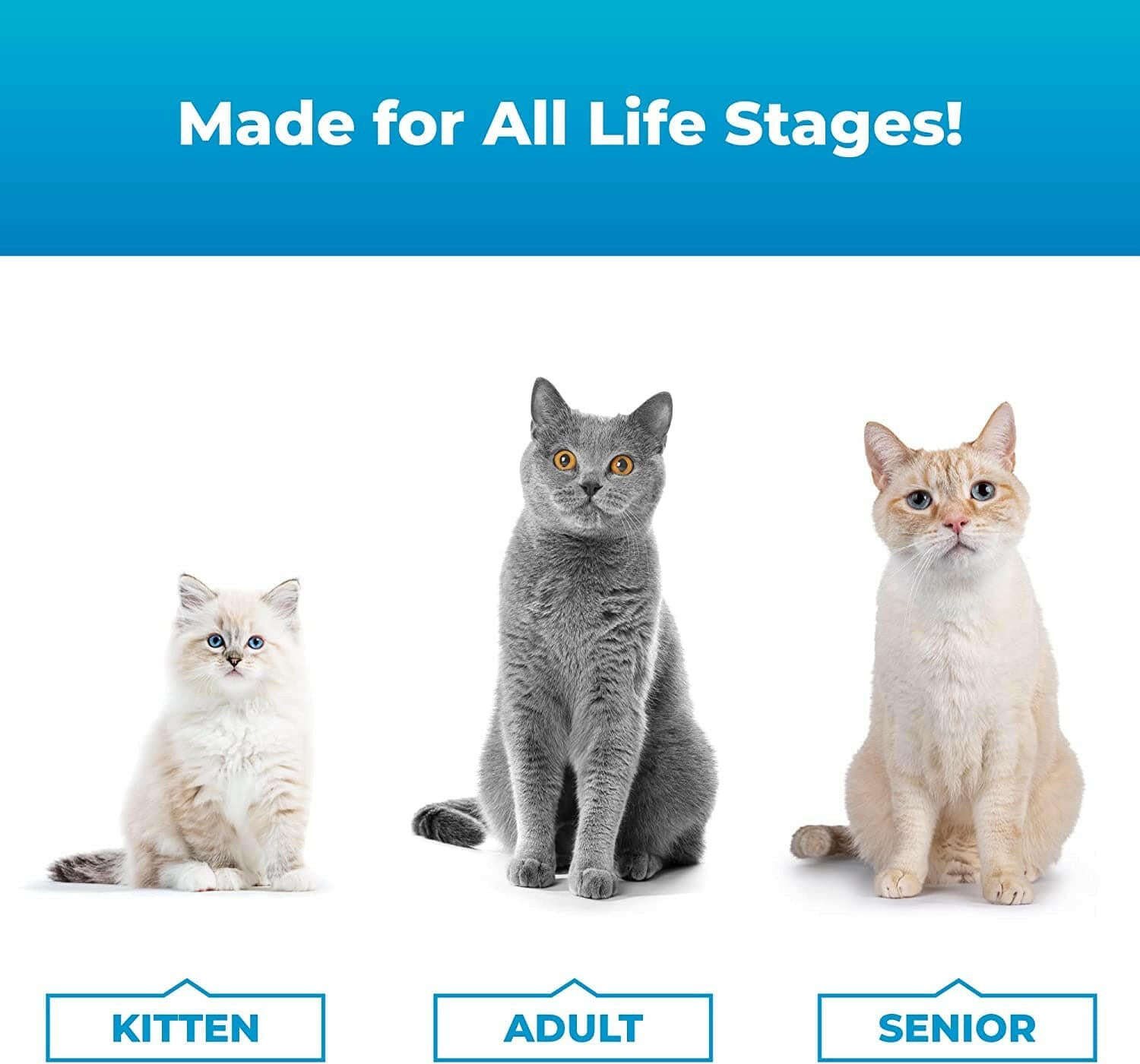 vetriscience composure for cats is made for all life stages