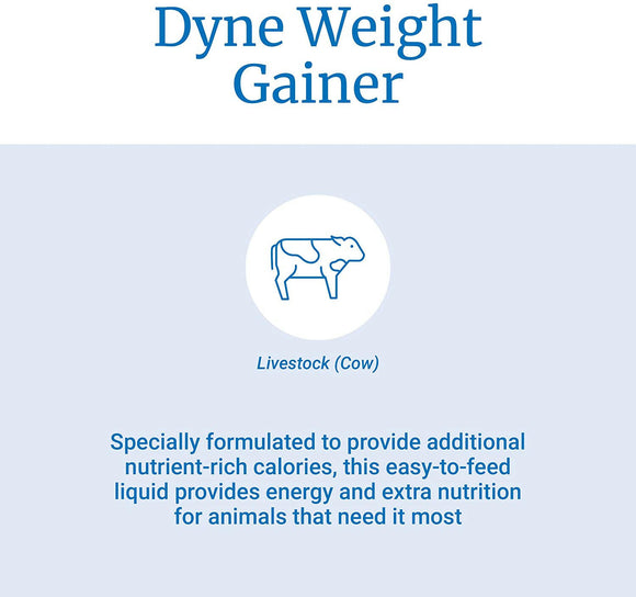Dyne High Calorie Liquid Livestock Supplement