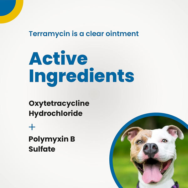 Terramycin (3.5 gram)