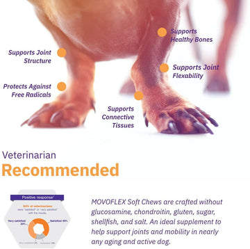 MovoFlex Joint Support for Large Dogs (60 soft chews)