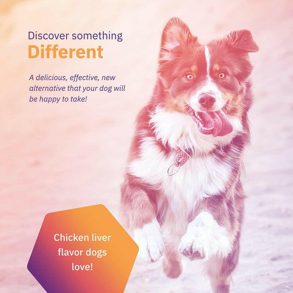 MovoFlex Joint Support for Small Dogs (60 soft chews)