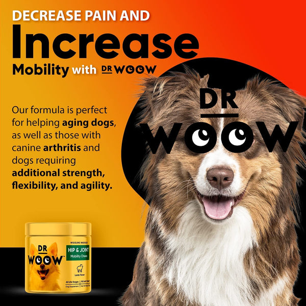 Dr. Woow Hip & Joint Mobility Chews (90 ct)