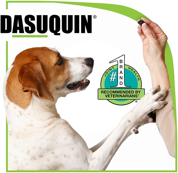 Nutramax Dasuquin Joint Health Supplement for Large Dogs - With Glucosamine, Chondroitin, ASU, MSM, Boswellia Serrata Extract, Green Tea Extract, 150 Soft Chews