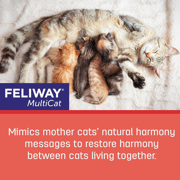 Feliway MultiCat 30 Day Starter Kit for Cats