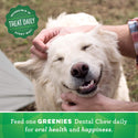 Greenies Petite Original Dental Dog Chews (20 count)