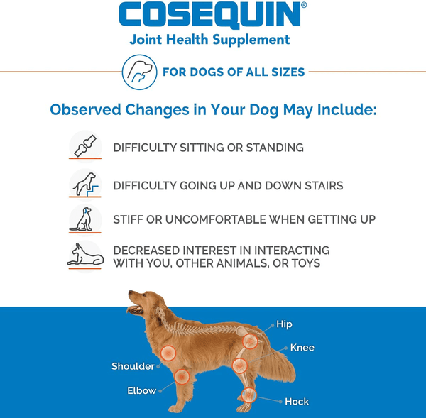 Nutramax Cosequin Maximum Strength Joint Health Supplement for Dogs - With Glucosamine, Chondroitin, MSM, and Hyaluronic Acid, 75 Chewable Tablets