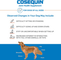 Nutramax Cosequin Senior Joint Health Supplement for Senior Dogs - With Glucosamine, Chondroitin, Omega-3 for Skin and Coat Health and Beta Glucans for Immune Support, 60 Soft Chews