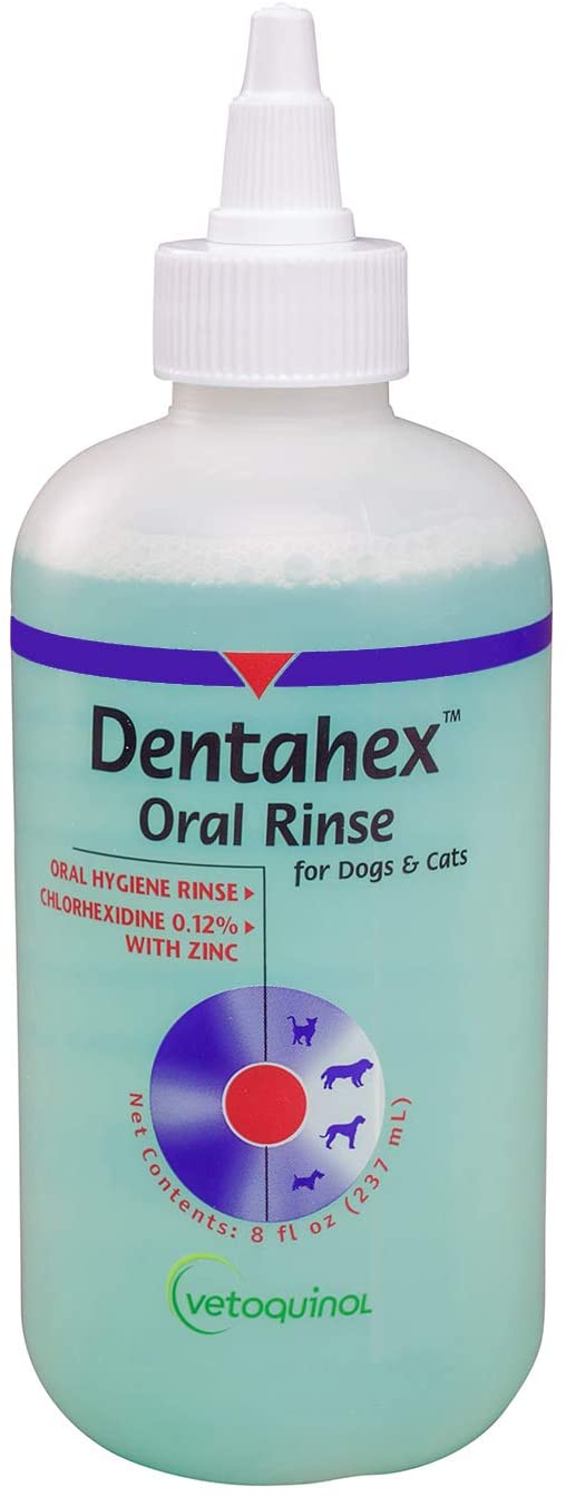 Dentahex Oral Hygiene Rinse (8 oz)