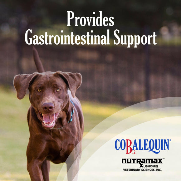 Nutramax Cobalequin B12 Supplement for Medium to Large Dogs