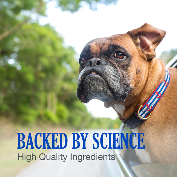 Nutramax Cobalequin B12 Supplement for Medium to Large Dogs