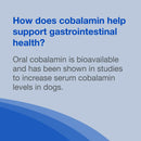 Nutramax Cobalequin B12 Supplement for Medium to Large Dogs