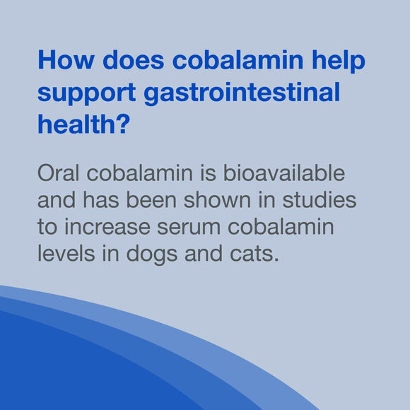 cobalequin b12 for dogs