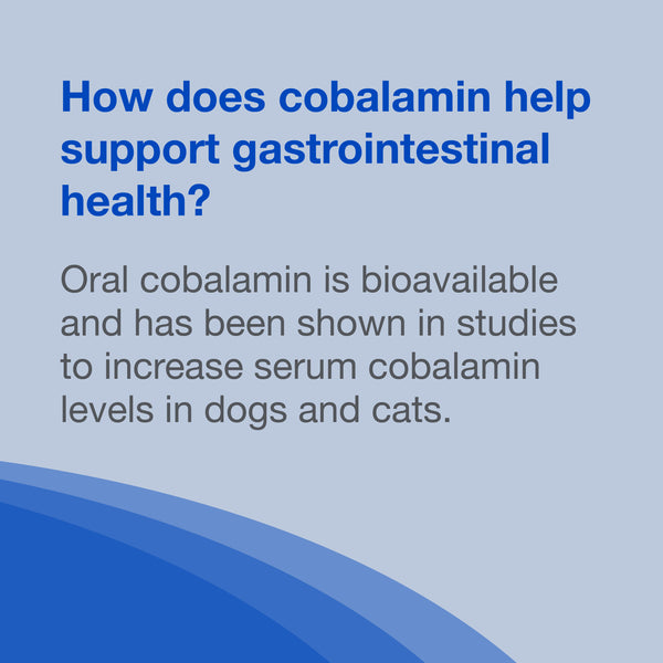 Nutramax Cobalequin B12 Supplement for Cats and Small Dogs