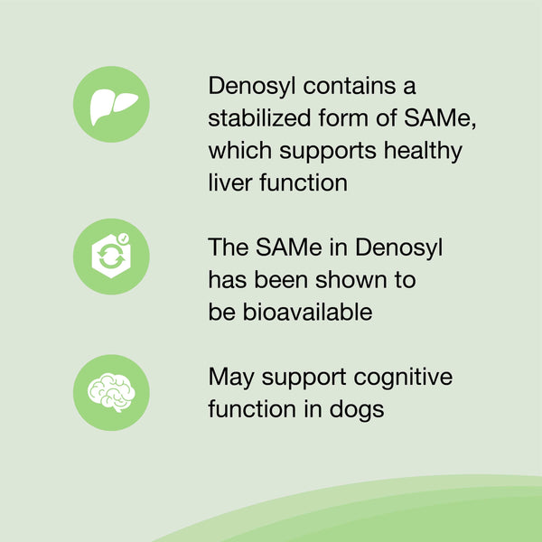 Nutramax Denosyl Liver and Brain Health Supplement for Large Dogs, With S-Adenosylmethionine (SAMe), 90 Tablets, 3-Pack