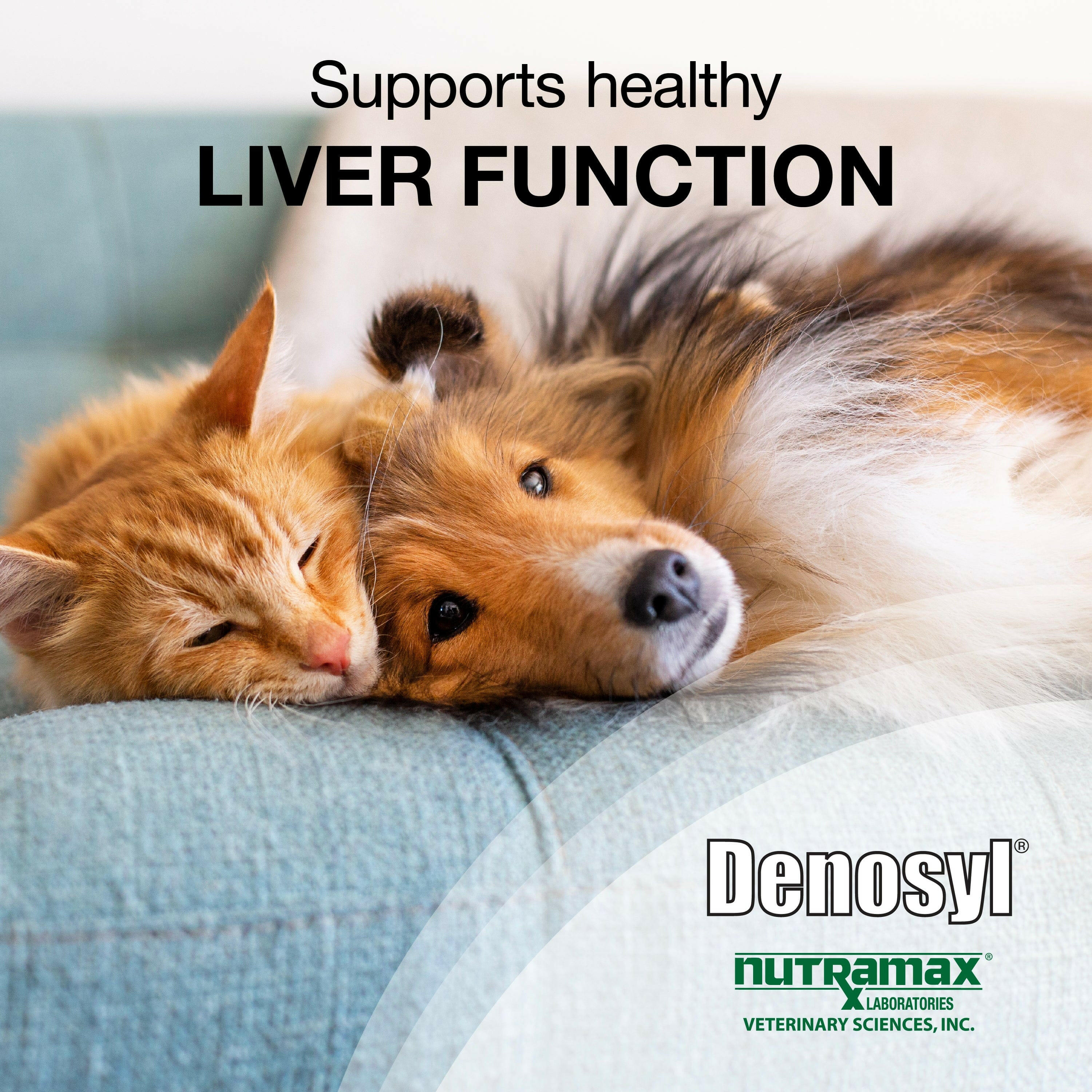 Nutramax Denosyl Liver and Brain Health Supplement for Small Dogs and Cats, With S-Adenosylmethionine (SAMe)