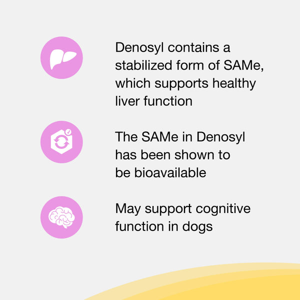 Nutramax Denosyl Liver and Brain Health Supplement for Small Dogs and Cats, With S-Adenosylmethionine (SAMe), 30 Tablets