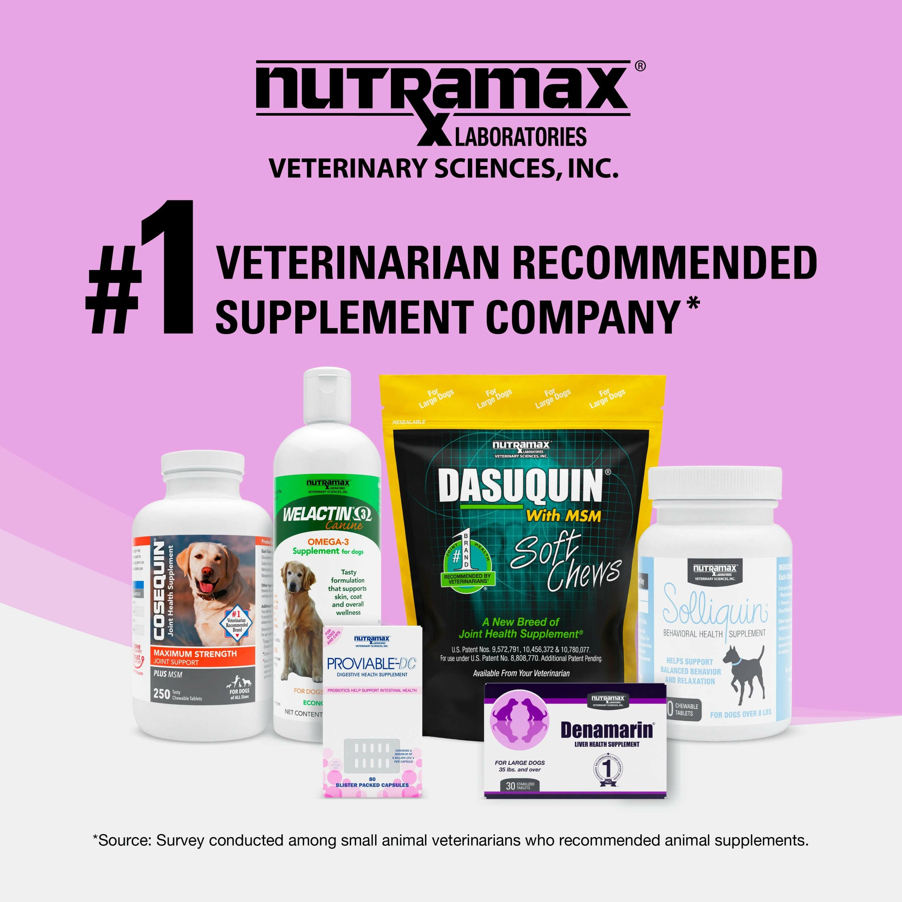 Nutramax Denosyl Liver and Brain Health Supplement for Small Dogs and Cats, With S-Adenosylmethionine (SAMe)