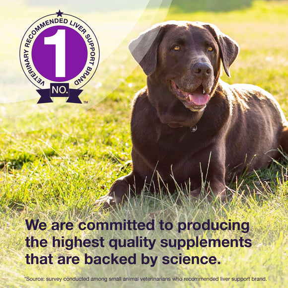 nutramax laboratories