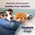 Denamarin for Cats and Small Dogs