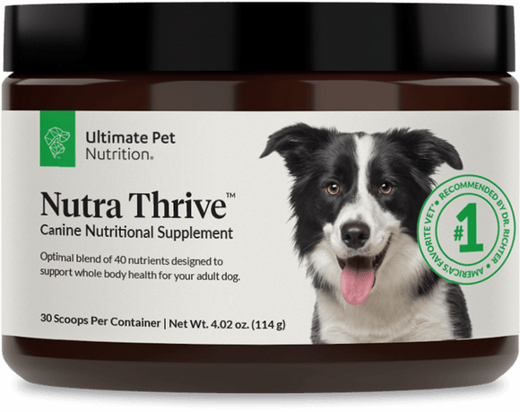 Ultimate Pet Nutrition Essentials Bundle!