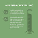 Ovipost Banded Adult Live Feed Crickets Reptile Food, Large, 3/4"-8