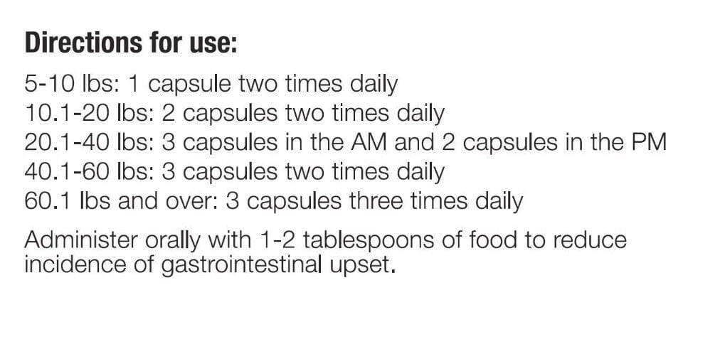 Apocaps CX Apoptogen Formula for Dogs