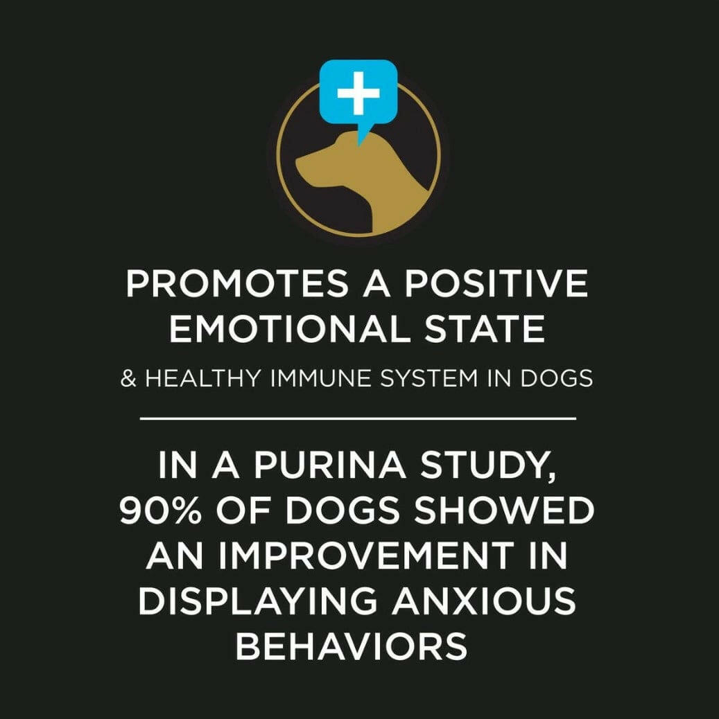 Purina Calming Care for Dogs