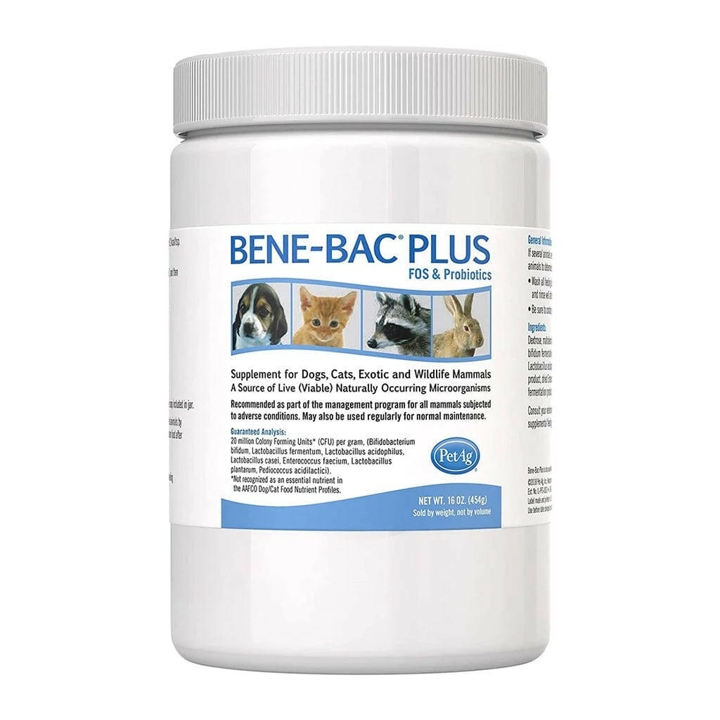 bene bac plus powder