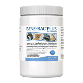bene bac plus powder
