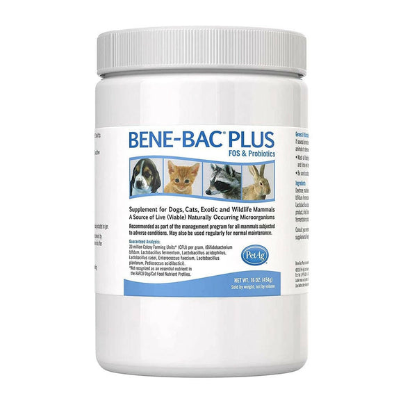 bene bac plus powder