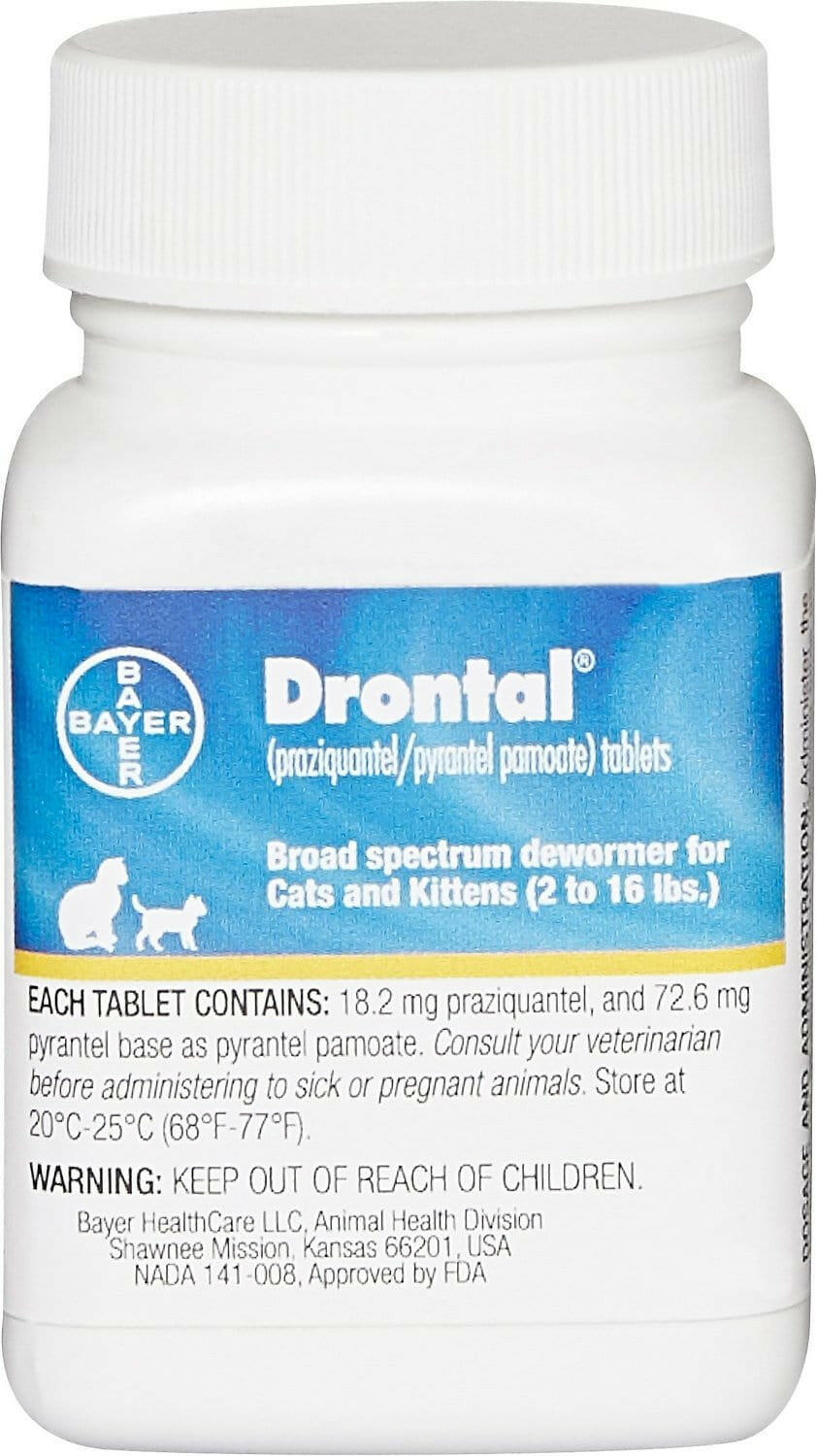 drontal for cats