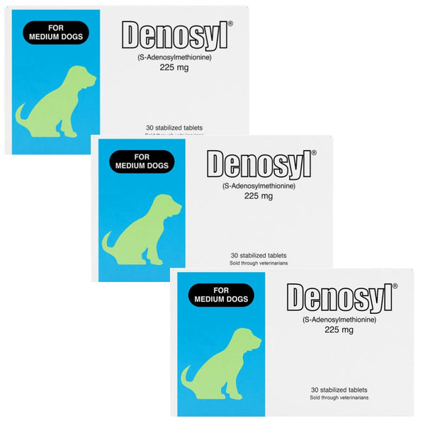 Nutramax Denosyl Liver and Brain Health Supplement for Medium Dogs, With S-Adenosylmethionine (SAMe), 90 Tablets, 3-Pack