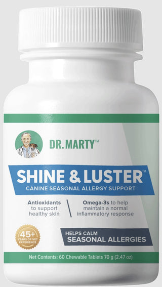 Shop at HardyPaw for the best dr marty shine and luster coupon this season. Dr marty shine and luster for dogs consists of  omega 3 fish oil powder, plant phytosterols, quercetin dihydrate, stinging nettle leaf powder, and salmon cartilage proteoglycans. Shine and Luster may arguably be the best dog allergy supplement if you're looking for more natural methods