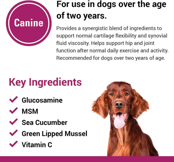 Vet Classics Joint Support Plus for Dogs (120 Chew Tabs)